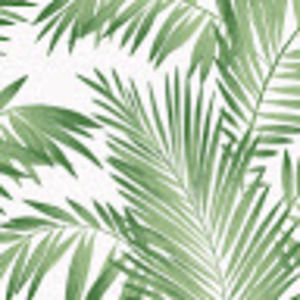 Meet your Posher, Amaris